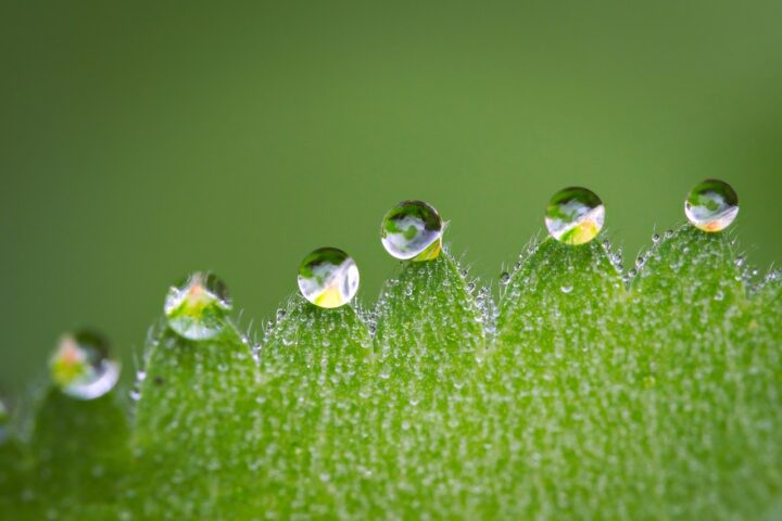 コンフォートゾーンを高めましょう、なりたい自分になるために！の画像