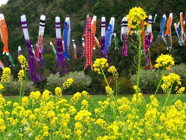 五月人形はなぜ飾るの？鯉のぼりや吹き流し、矢車の意味は？の画像